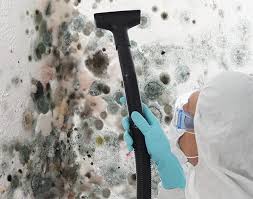 Biohazard Mold Removal in Bunnell, FL